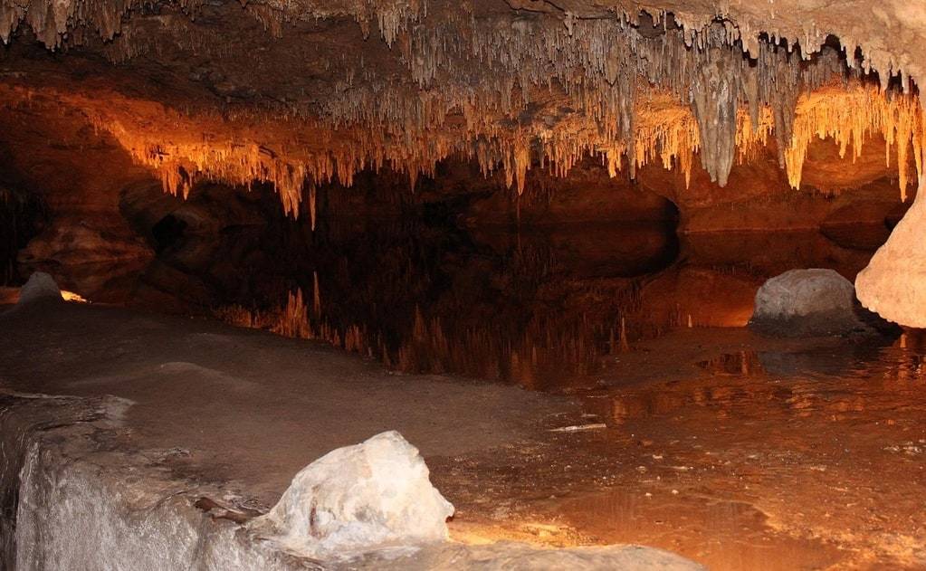 Comment un couple gère la Grotte Aven Forestière ?